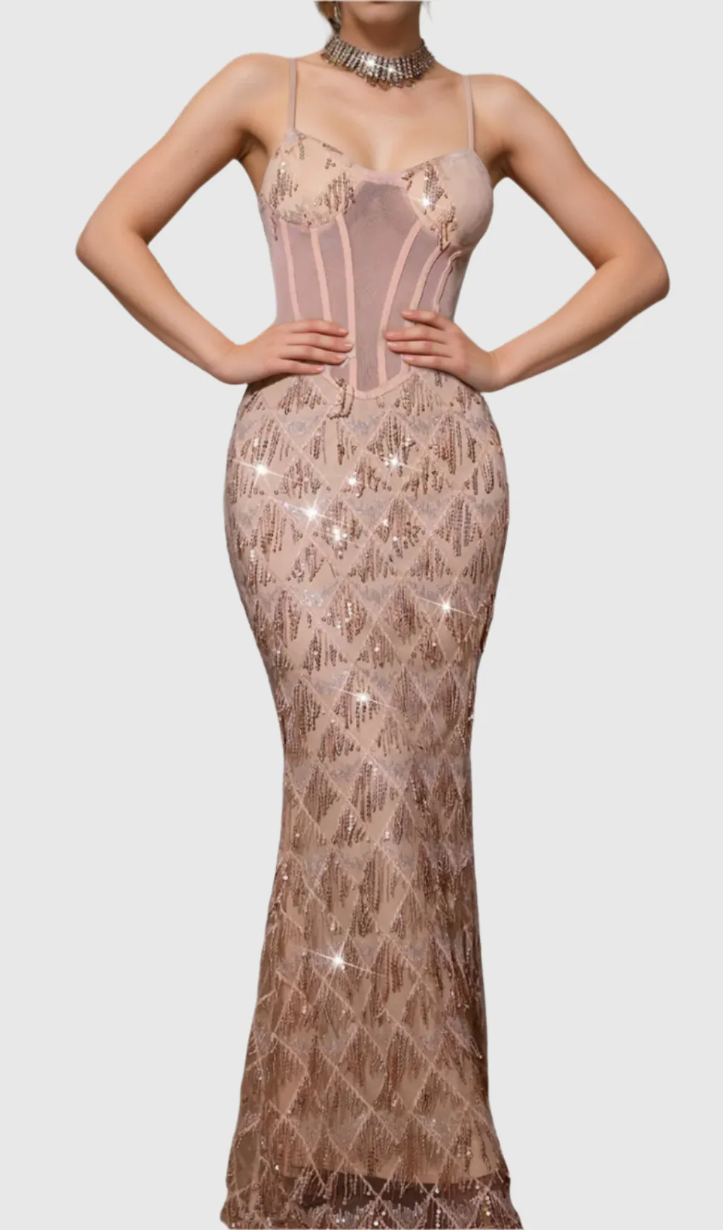 Carol Sequin Fringe Maxi Dress In Apricot Gloria Lanvin