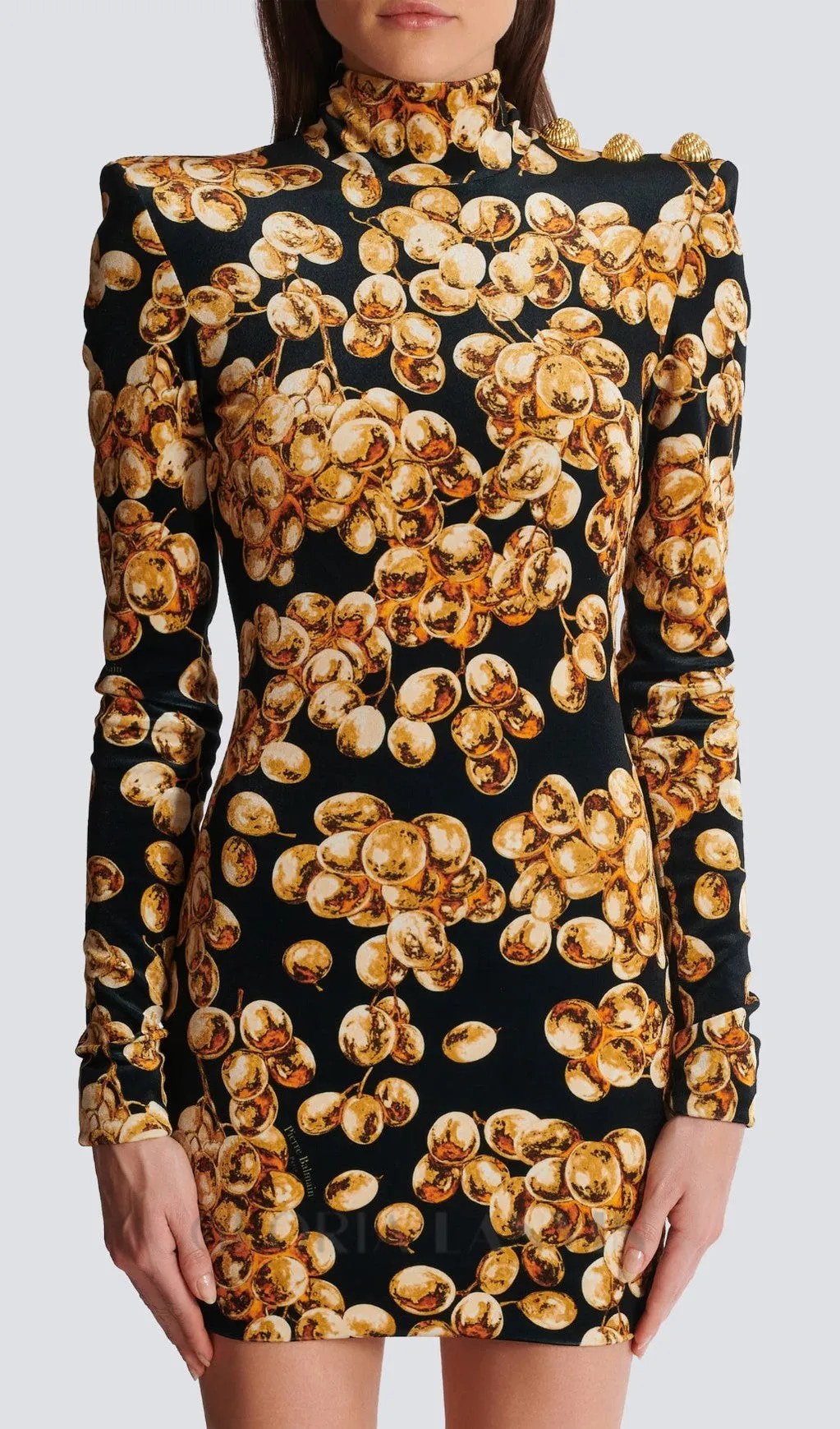 CORETTA GRAPE PRINT VELVET MINI DRESS Gloria Lanvin