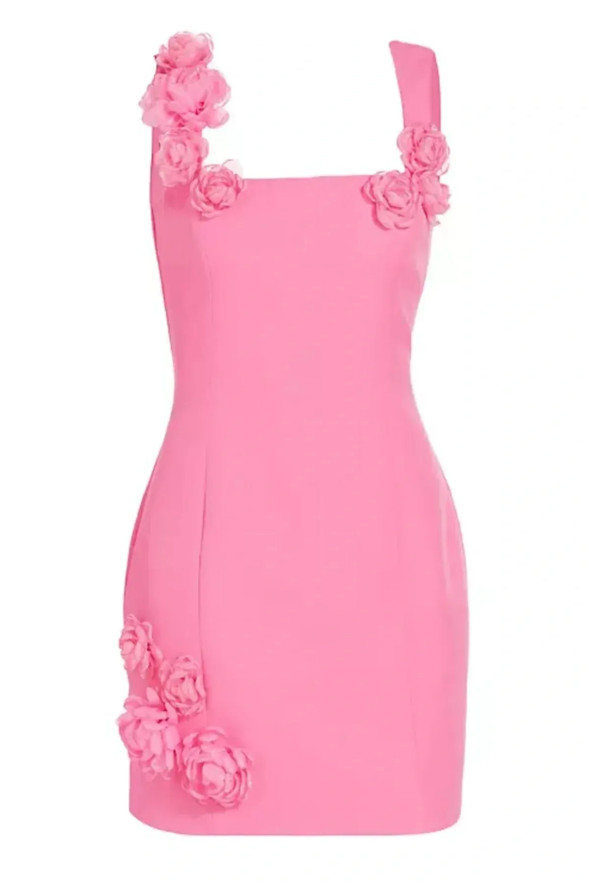 Dilanne Floral  Appliqu Mini Dress in Pink Gloria Lanvin