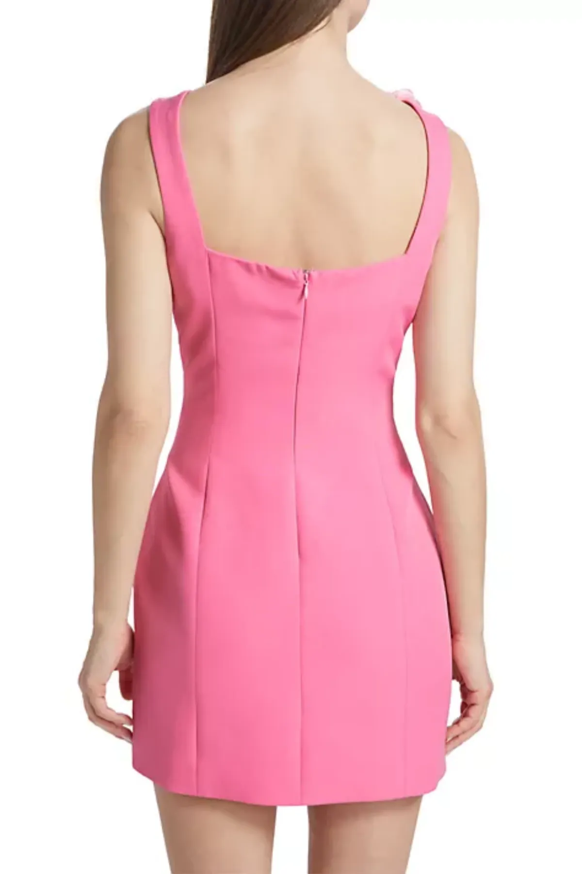 Dilanne Floral  Appliqu Mini Dress in Pink Gloria Lanvin