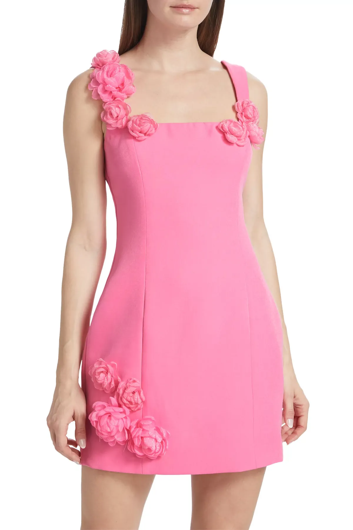 Dilanne Floral  Appliqu Mini Dress in Pink Gloria Lanvin