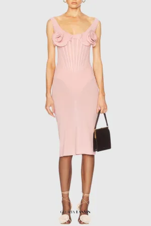 Dinella Floral Appliqu Corset Midi Dress in Pink Gloria Lanvin