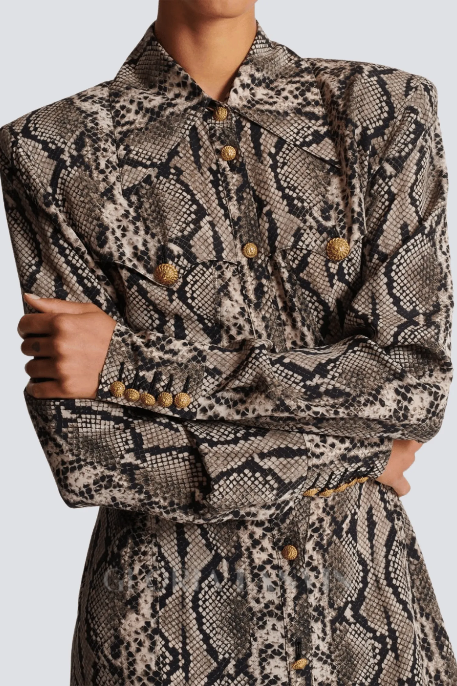 Filis Snake Print Maxi Shirt Dress Gloria Lanvin