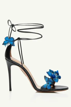 Jazma Papillon Sandal - Black Gloria Lanvin