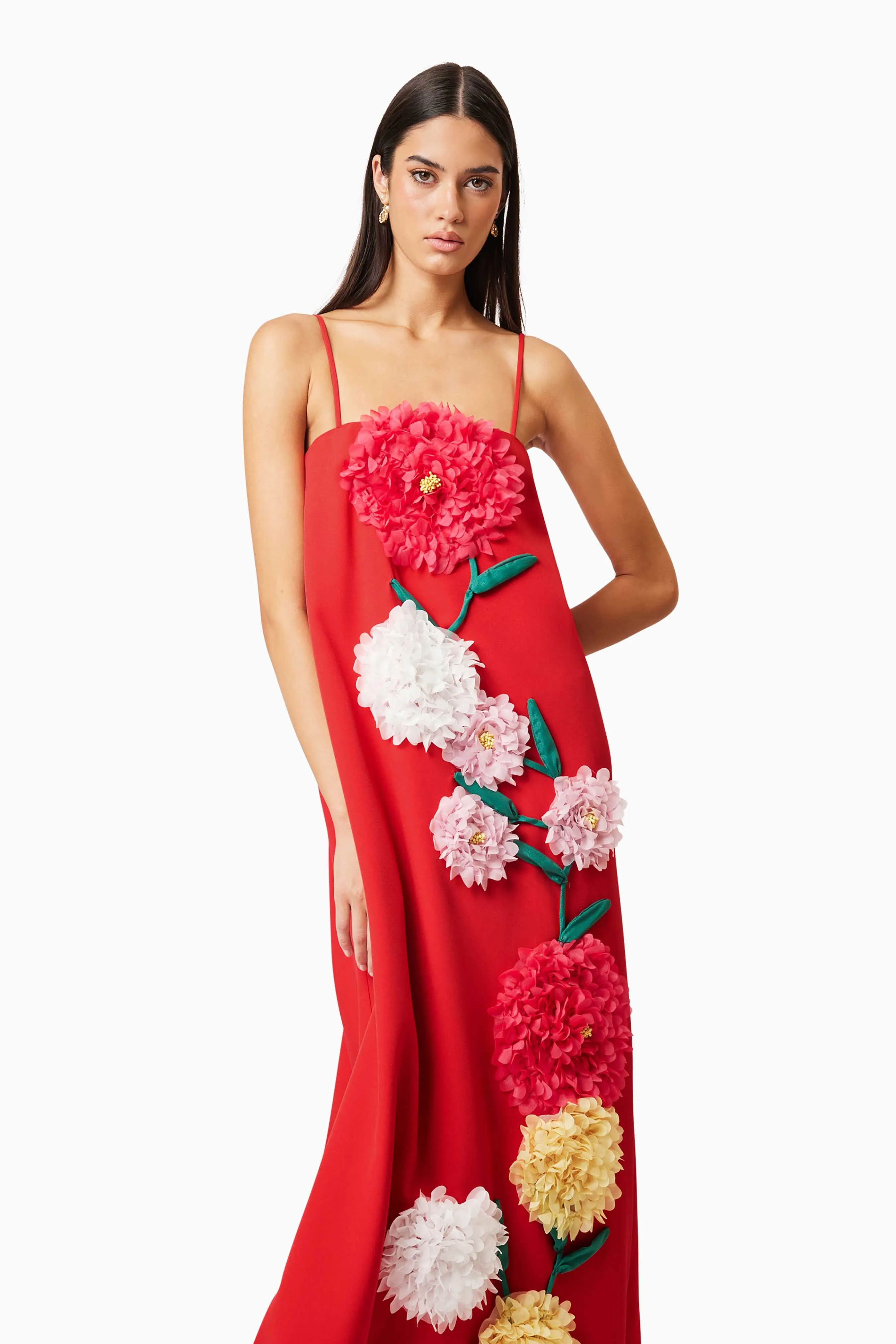 judy Buttercup Embroidered Maxi Dress In Red Gloria Lanvin