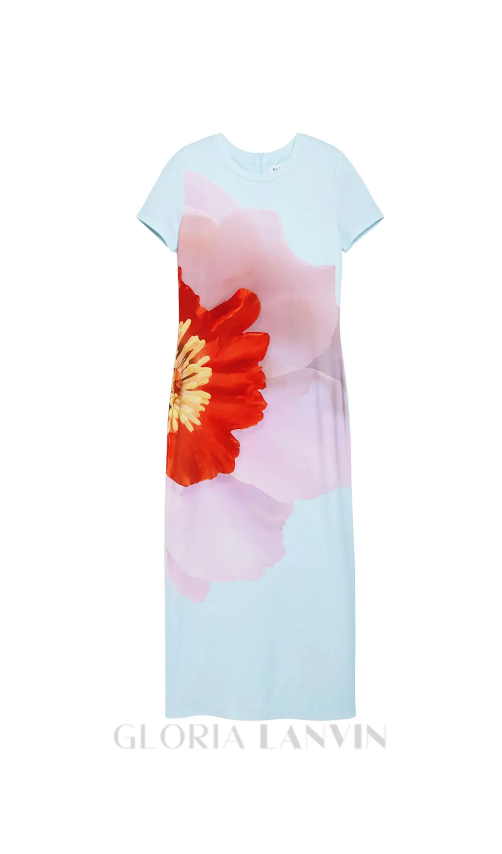 nancy floral print midi dress in blue Gloria Lanvin