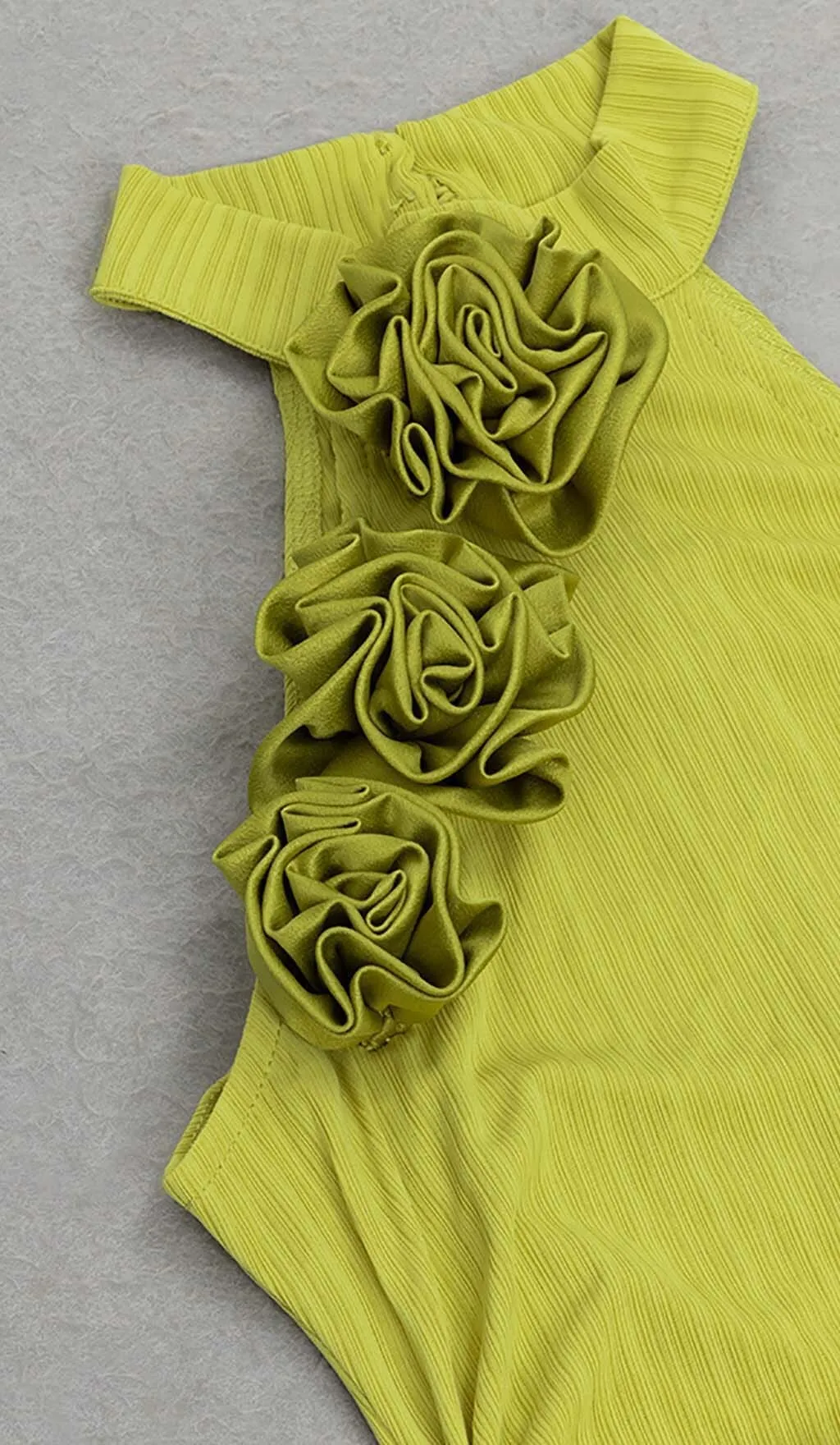 ROSE-EMBELLISHED HALTER MAXI DRESS IN FADED GREEN Gloria Lanvin