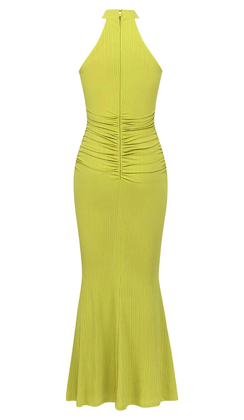 ROSE-EMBELLISHED HALTER MAXI DRESS IN FADED GREEN Gloria Lanvin