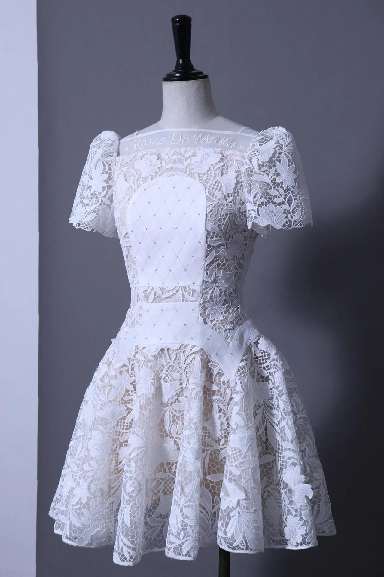 rose sleeve lace hollow mini dress in white Gloria Lanvin
