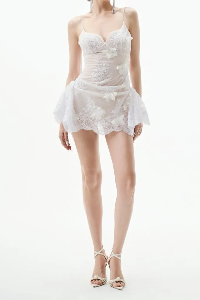 verna Butterfly embellished Lace Mini Dress in white Gloria Lanvin